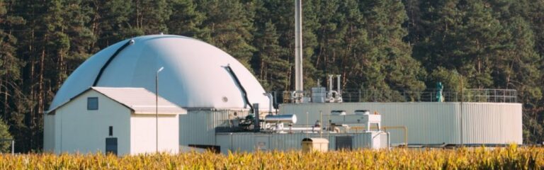 CO2BioClean: Turning CO₂ into Biodegradable Plastics