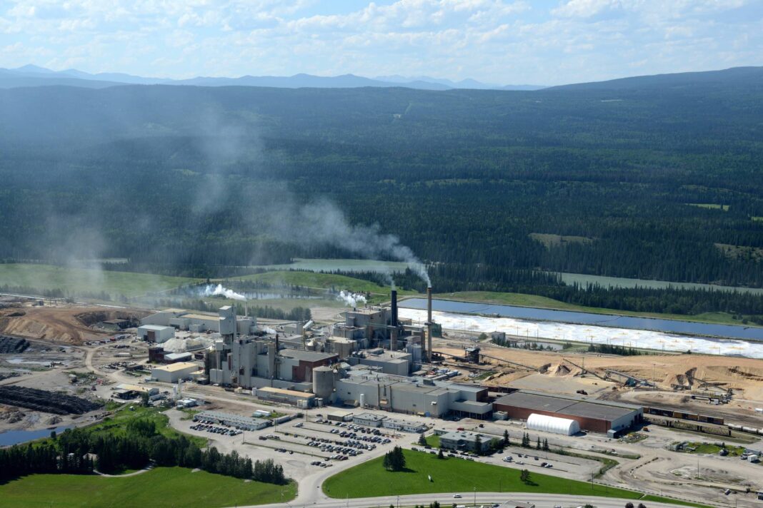 Hinton Pulp Mill Acquisition Supports Growth in Mondi’s Americas Paper Bags Business.
