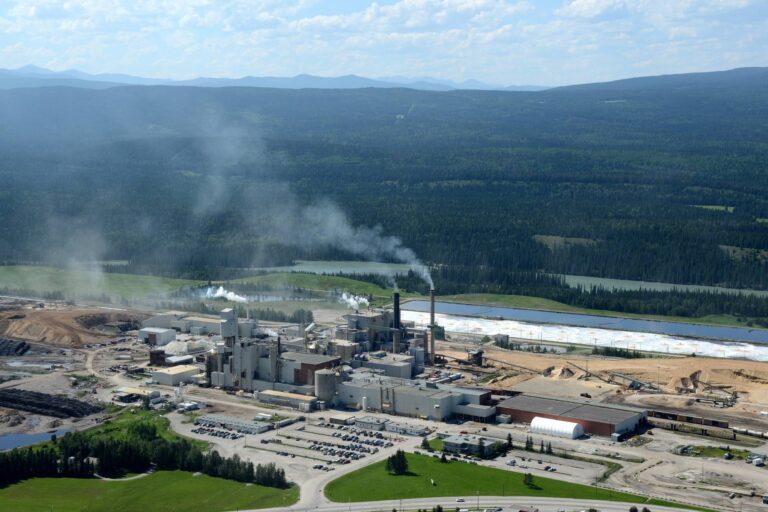 Hinton Pulp Mill Acquisition Supports Growth in Mondi’s Americas Paper Bags Business