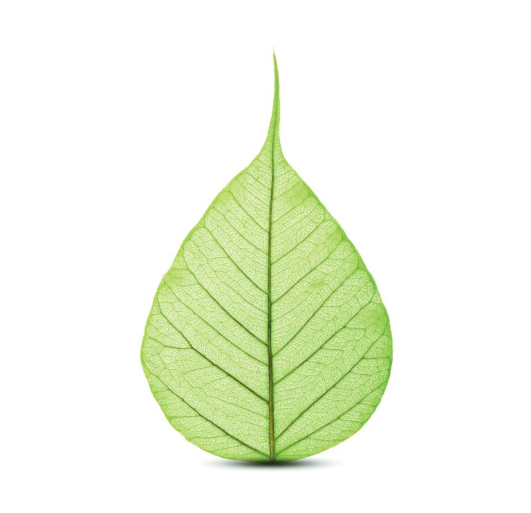 SABIC Offers Bio-Based Versions of All NORYL Resin Grades to Further Advance the Bioeconomy of Plastics